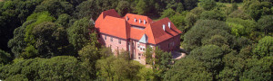 zamek w Dębnie